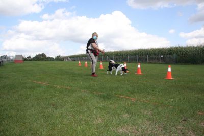 IMG_1265.jpg