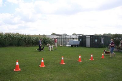 IMG_1266.jpg