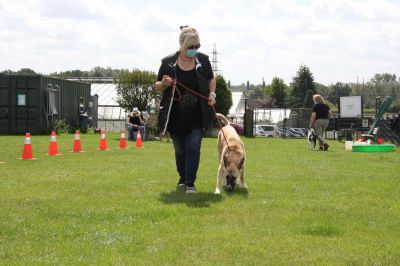 IMG_1322.jpg