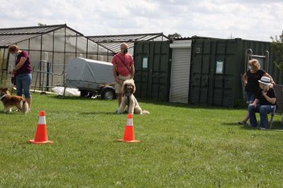 IMG_1356.jpg