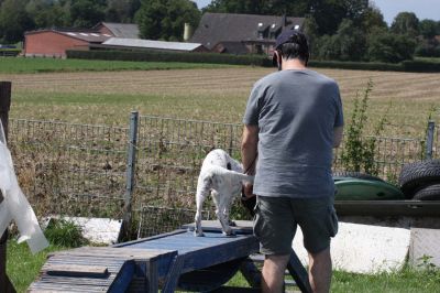 IMG_1408.jpg