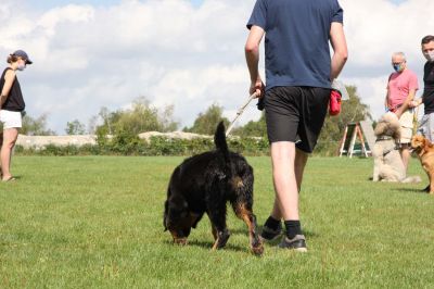 IMG_1431.jpg