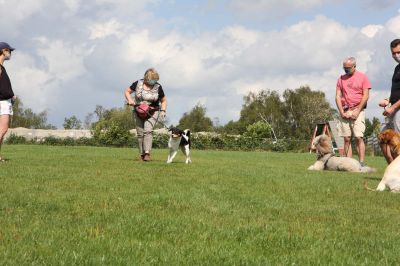 IMG_1444.jpg