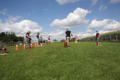 IMG_1463.jpg