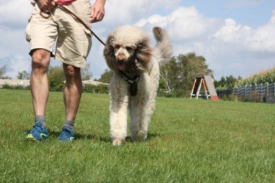 IMG_1478.jpg