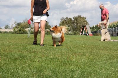 IMG_1488.jpg
