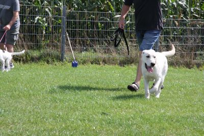 IMG_1582.jpg
