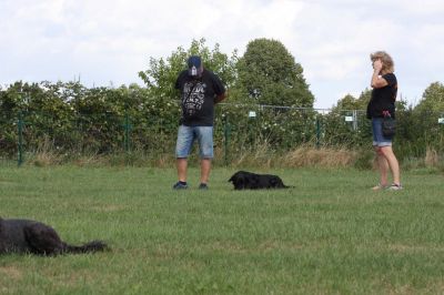IMG_1646.jpg