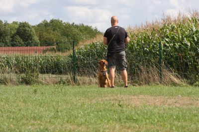 IMG_1673.jpg