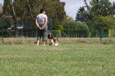 IMG_1676.jpg