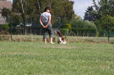 IMG_1677.jpg