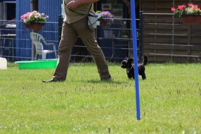 IMG_1718.jpg