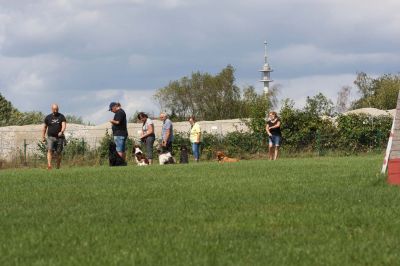 IMG_1726.jpg