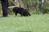 IMG_1519.jpg