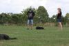 Filename=IMG_1646.jpg
Filesize=179KiB
Dimensions=1500x1000
Date added=Sep 27, 2020 IMG_1646.jpg