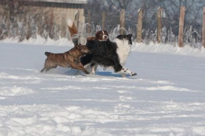_MG_8059.jpg