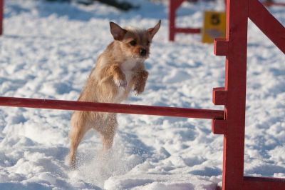 _MG_8147.jpg