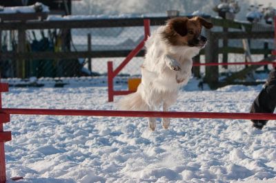 _MG_8227.jpg