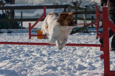 _MG_8228.jpg